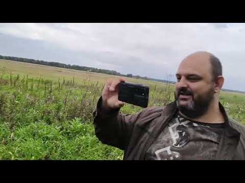 Видео: Слёт Омских Кладоискателей 2025 #копвпосадке #metaldetecting #находкисметаллоискателем #коп #поиск