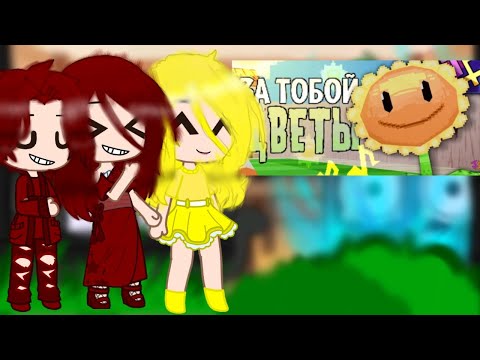 Видео: реакция растений на песню пвз "за тобой цветы"