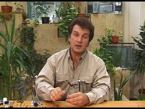 Видео: Даббинговая петля