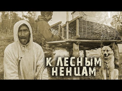 Видео: Экспедиция к лесным ненцам. Родовые стойбища Айваседа. Речка Варьёганка. Охотники, старики, чумы..