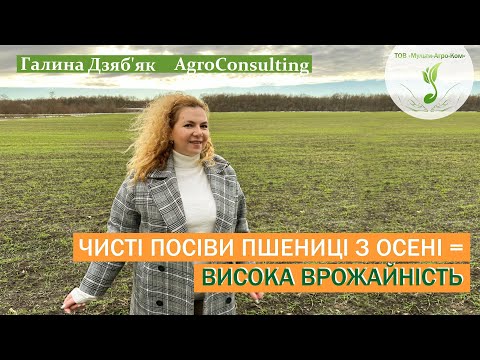 Видео: Осінній захист пшениці від бур'янів: які гербіциди обрати?