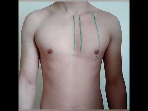 Видео: Кеуде қуысының сызықтары.