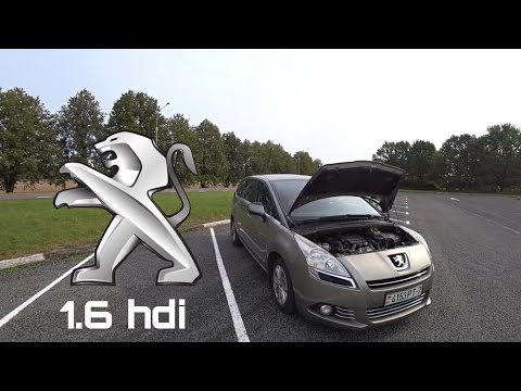 Видео: Peugeot 5008 (2010 г.в.) Практичный француз