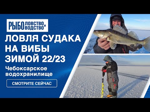 Видео: Ловля судака на вибы зимой 2022/2023. Чебоксарское водохранилище.