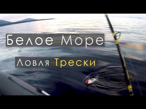 Видео: Ловля трески в Белом Море | В плохую погоду за крупной рыбой | IRL