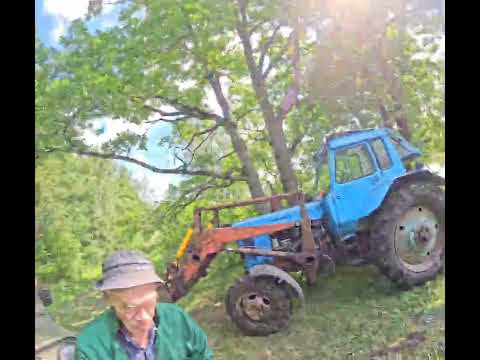 Видео: Как мы с дедами, дерево из пруда доставали! 😁😁#эвакуация#природа#уазпатриот#нива#мтз82#нива