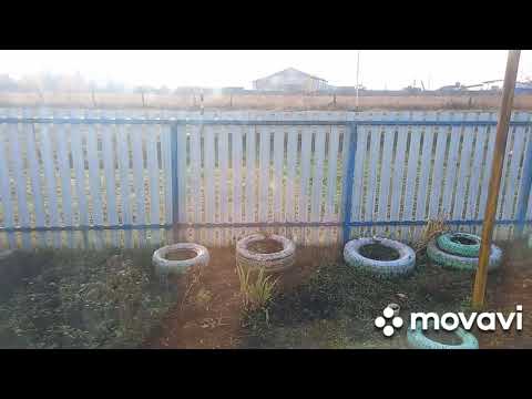 Видео: Деревенская жизнь 