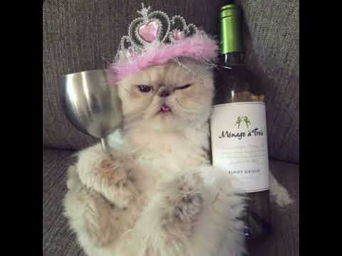 Видео: Егор Крид — Мало так мало (speed up)