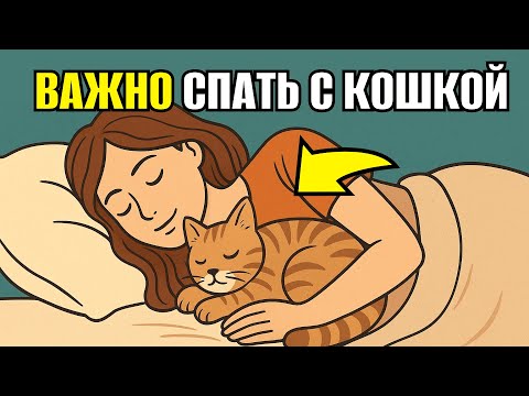 Видео: СЕКРЕТ ЗДОРОВЬЯ Что происходит с вашим ТЕЛОМ, когда кошка спит рядом