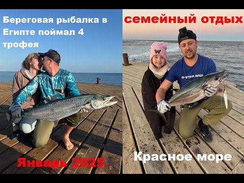Видео: Береговая рыбалка в Египте 2025 мечты сбываются!