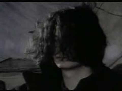 Видео: Белый таракан