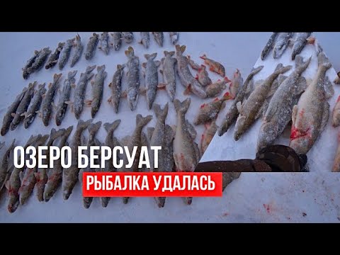 Видео: 3 вида рыбы на озере Берсуат: РАЗДАЧА