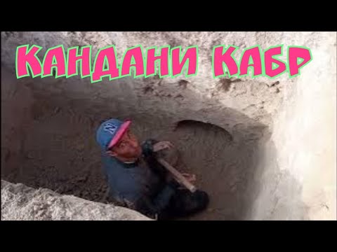 Видео: Дарахт шинони дар Оромгохи (Мазор) ХОЧА-ГУЛГУНЧОН. дар н.Вахш