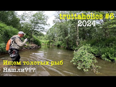 Видео: В поисках толстых пятен. Ловля пеструшки на дикой реке