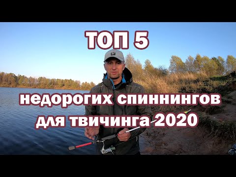 Видео: Топ Недорогих Спиннингов для Твичинга . Купить Недорогой Спиннинг. Спиннинг для начинающих.