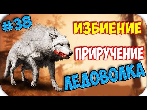 Видео: Far Cry Primal - Как приручить жестоко ЛЕДОВОЛКА #38