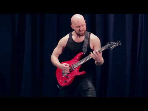 Видео: Н.А. Римский-Корсаков - Полёт шмеля (исп. Владимир Селезнёв)