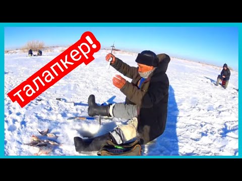 Видео: Зимняя рыбалка. Река Есиль/Ишим! Уловистая мормышка.