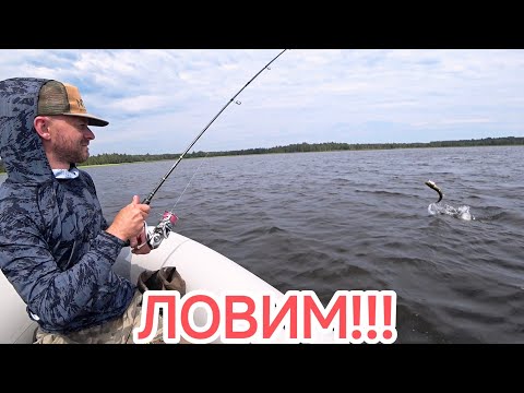 Видео: Ловля щуки в конце июля. Спиннинг с лодки.