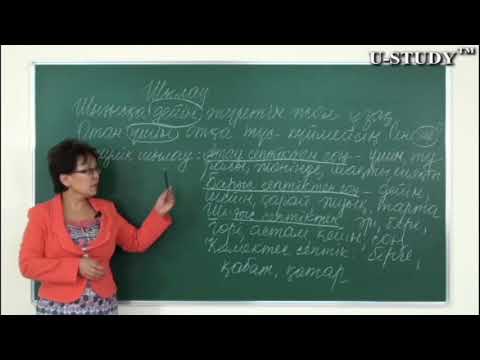 Видео: ҰБТ-ға дайындық: Шылау. Септеулік шылау