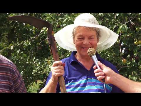 Видео: Плоскорез коса. Отзывы о работе инструментом