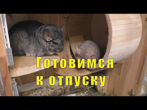 Видео: ГОТОВЛЮ ПИТОМЦЕВ К ОТПУСКУ