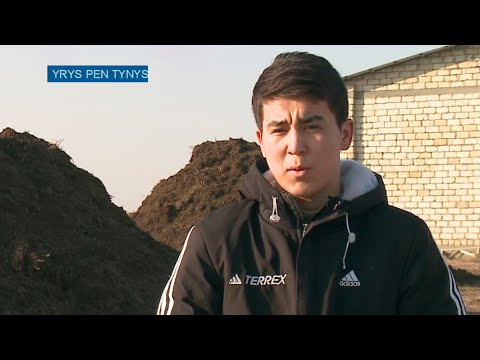 Видео: Ырыс пен тыныс: Атыраулық шаруалар тыңайтқышты қалай дайындап жүр?