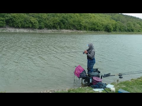 Видео: Риболов без край! Сигмен и Прогрес