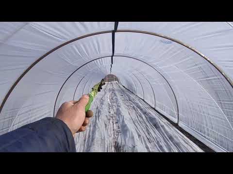 Видео: Балаган на перетяжках, усиленный, который не улетит. теплица бюджетный вариант