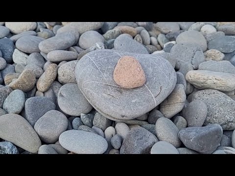 Видео: До свидания Море, ⛵ 🐬🐬🐬нам пора Домой