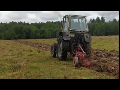 Видео: Горанка цілини, підготовка до посіву пшениці. ЮМЗ-6. Розхід топлива