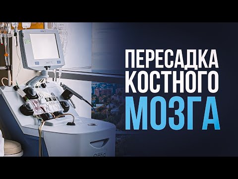 Видео: Пересадка костного мозга в Турции - шанс на спасение при раке крови