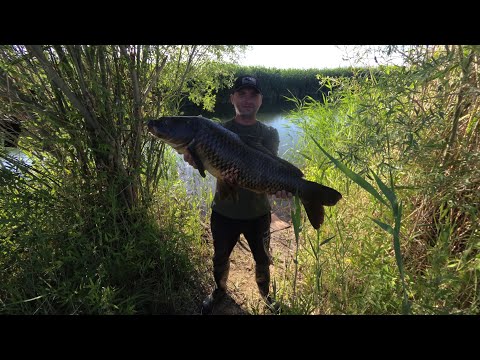 Видео: Рыбалка в Дельте. Первый Амур пойман! Подводная охота