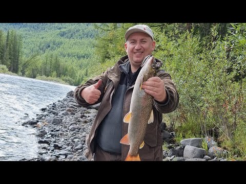 Видео: Рыбалка на тайменя и ленка в Тыве через порогои реки Билин в Саянах. Fishing in Tuva for taimen.