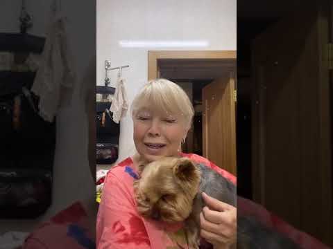 Видео: Мария Кохно в прямом эфире 28.06.2020.