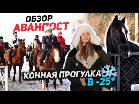 Видео: АВАНПОСТ ОБЗОР / конная прогулка на льду / поролон под сёдлом / ферма для лошадей