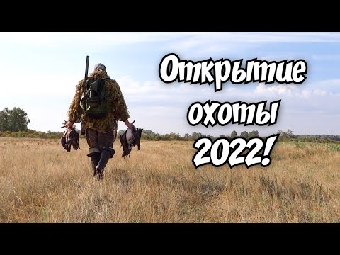 Видео: ОТКРЫТИЕ ОХОТЫ 2022!!! ОХОТА НА УТКУ! #открытиеохоты2022 #охотанаутку