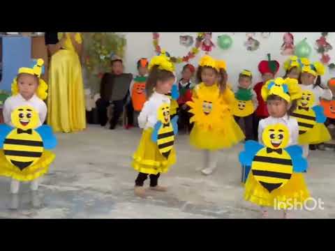 Видео: Э.Керимгазиев мектеби, "Башат" бала бакчасы