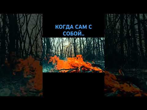 Видео: ❤️УМИРОТВОРЕНИЕ С ПРИРОДОЙ🔥