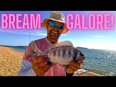 Видео: Сколько лещей??? Моя самая любимая летняя сессия на данный момент!