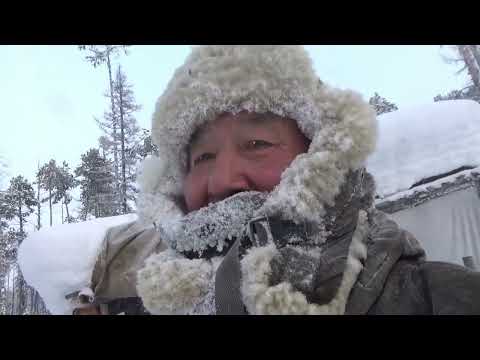 Видео: Проверка капканов. Охота на соболя 2025 год. Якутия.
