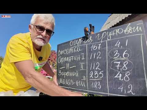Видео: Вперёд, товарищи! На дачу! Выпуск от 16.09.25