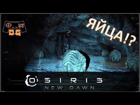 Видео: Osiris New Dawn ◈ Зеленый и красный ключ! ◈ Переезд базы ◈ #4v2