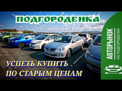 Видео: #утильсбор УСПЕТЬ КУПИТЬ ПО СТАРЫМ ЦЕНАМ