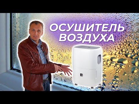 Видео: Как сушить штукатурку?  | ОСУШИТЕЛЬ ВОЗДУХА