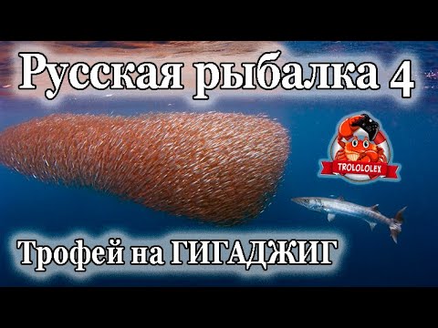 Видео: Русская рыбалка 4 Норвежское море Трофей на ГИГАДЖИГ