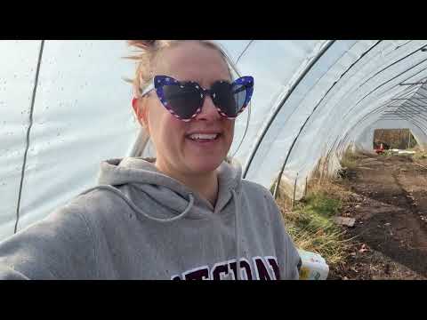 Видео: Осенние фермерские дела — так мало времени! Ферма Флауэр-Хилл