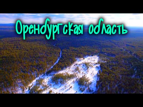 Видео: Мертвое озеро, 6000-летний лес и мост, соединяющий части света