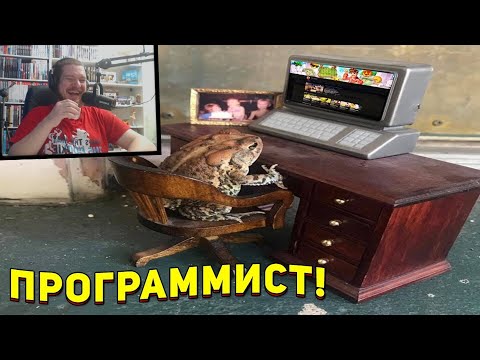 Видео: ЗАСМЕЯЛСЯ - ПОДПИСАЛСЯ!! ЛУЧШИЕ ПРИКОЛЫ 2021 ТЕСТ НА ПСИХИКУ УГАР! #427 - РЕАКЦИЯ НА СОЮЗ СМЕХА