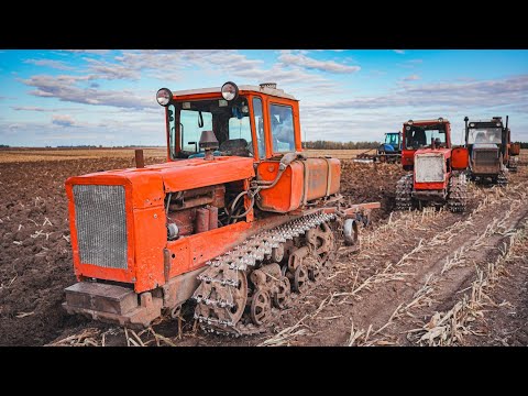 Видео: МЫ ИЗ СССР. КРАСИВАЯ ВСПАШКА ПОЛЯ НА ПЯТИ ГУСЕНИЧНЫХ ТРАКТОРАХ